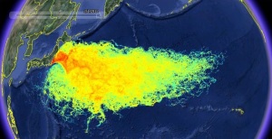 fukushima_radiation_map