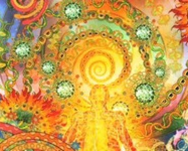 Ayahuaska