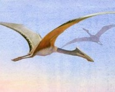 pterozaur