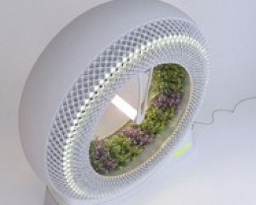 uprawa-greenwheel