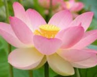 pokochaj-siebie-odnies-sukces