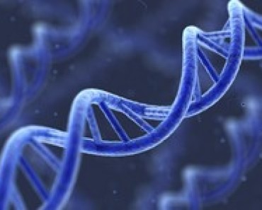 DNA-zapis