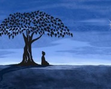 medytacja-z-drzewem