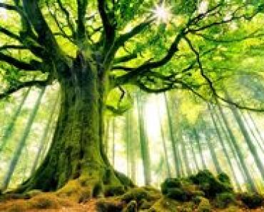 GlowneHaslaDuchowosci