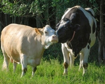 MartwePozywienieCz1-1