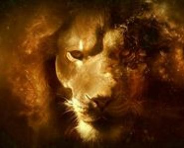 PoradnikPrzebudzonegoCz8-1