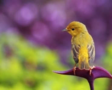 SzacunekDoNaturyCz2-1